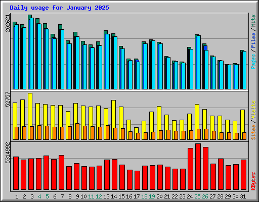 Daily usage for January 2025