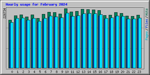 Hourly usage for February 2024