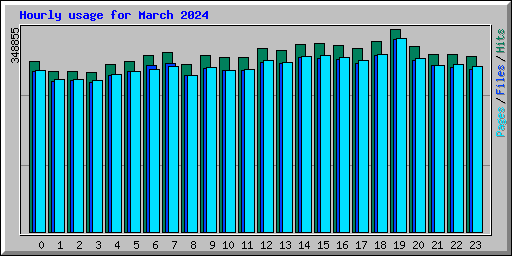 Hourly usage for March 2024