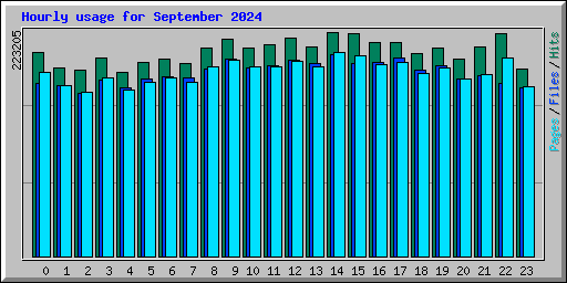 Hourly usage for September 2024