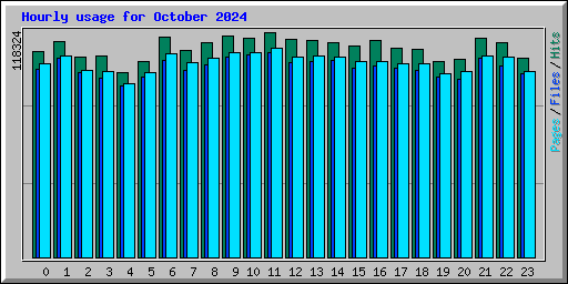 Hourly usage for October 2024