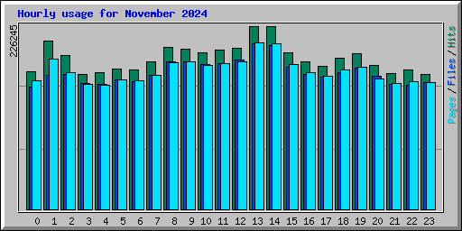 Hourly usage for November 2024