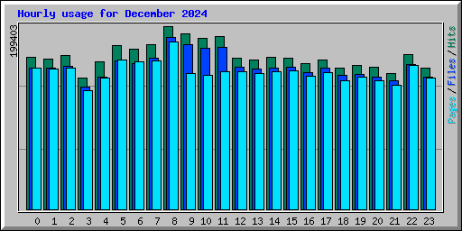 Hourly usage for December 2024