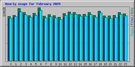 Hourly usage for February 2025