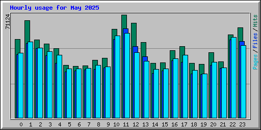 Hourly usage for May 2025