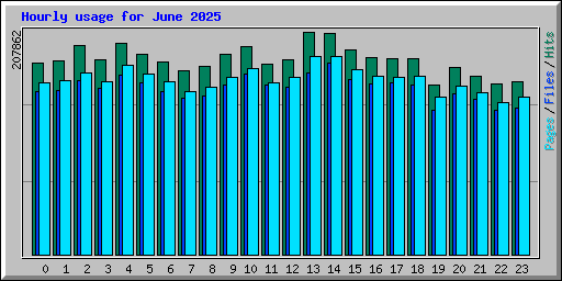 Hourly usage for June 2025