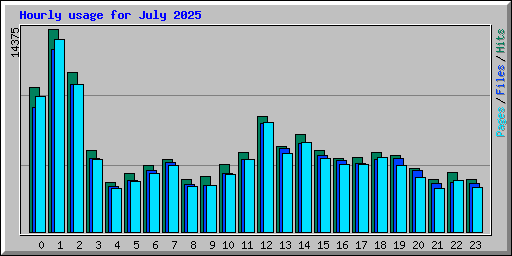 Hourly usage for July 2025