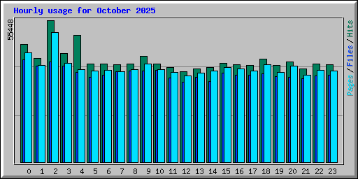 Hourly usage for October 2025