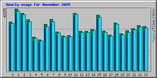 Hourly usage for November 2025