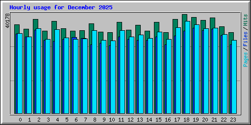 Hourly usage for December 2025
