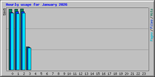 Hourly usage for January 2026