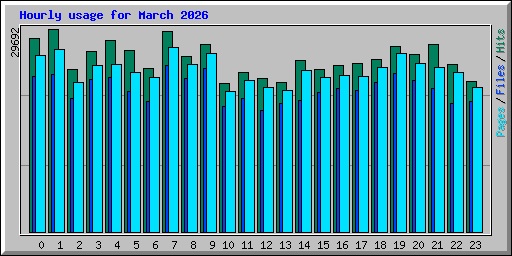 Hourly usage for March 2026