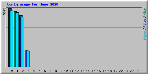 Hourly usage for June 2026